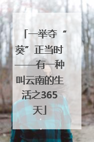 一举夺“葵”正当时——有一种叫云南的生活之365天
