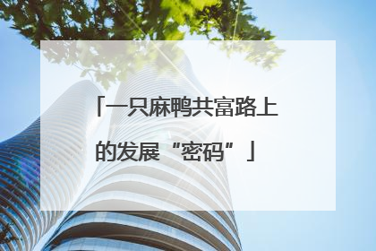 一只麻鸭共富路上的发展“密码”
