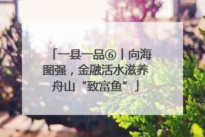 一县一品⑥丨向海图强，金融活水滋养舟山“致富鱼”