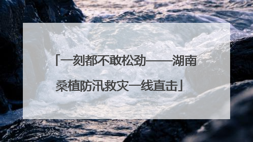 一刻都不敢松劲——湖南桑植防汛救灾一线直击