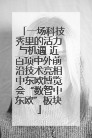 一场科技秀里的活力与机遇 近百项中外前沿技术亮相中东欧博览会“数智中东欧”板块