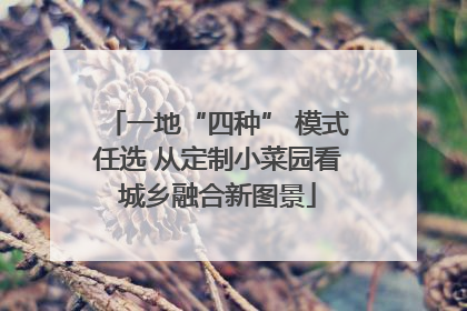 一地“四种” 模式任选 从定制小菜园看城乡融合新图景
