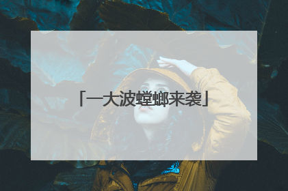 一大波螳螂来袭