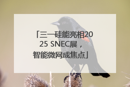 三一硅能亮相2025 SNEC展，智能微网成焦点