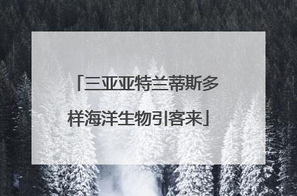 三亚亚特兰蒂斯多样海洋生物引客来