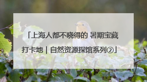 上海人都不晓得的 暑期宝藏打卡地｜自然资源探馆系列②