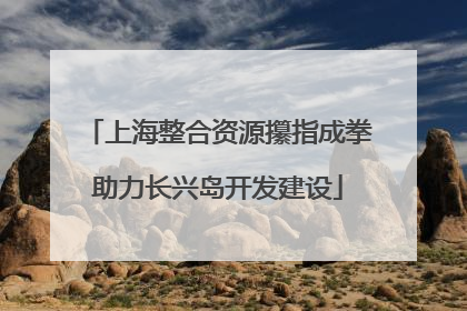 上海整合资源攥指成拳助力长兴岛开发建设