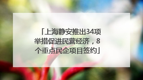 上海静安推出34项举措促进民营经济，8个重点民企项目签约