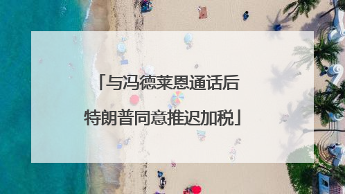 与冯德莱恩通话后 特朗普同意推迟加税