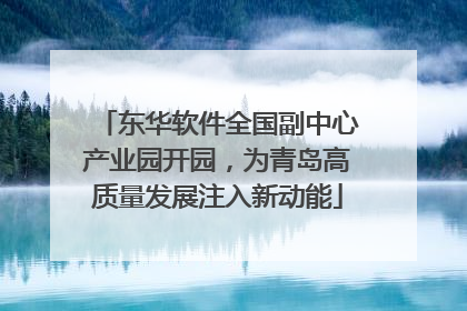 东华软件全国副中心产业园开园，为青岛高质量发展注入新动能