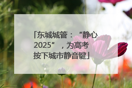 东城城管：“静心2025”，为高考按下城市静音键