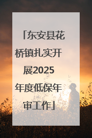 东安县花桥镇扎实开展2025年度低保年审工作