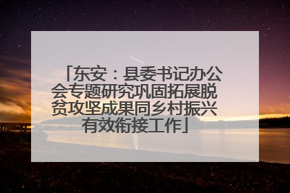 东安：县委书记办公会专题研究巩固拓展脱贫攻坚成果同乡村振兴有效衔接工作