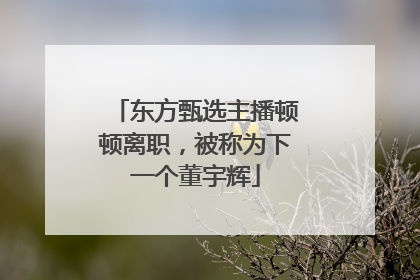 东方甄选主播顿顿离职，被称为下一个董宇辉