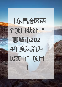 东昌府区两个项目获评“聊城市2024年度法治为民实事”项目