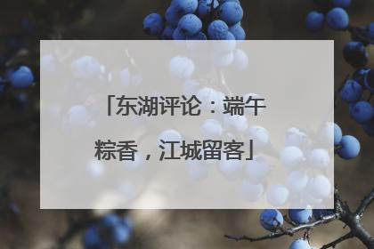东湖评论：端午粽香，江城留客