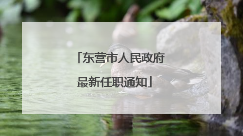 东营市人民政府最新任职通知