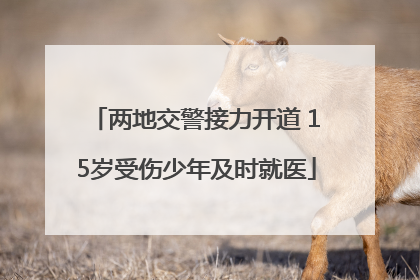 两地交警接力开道 15岁受伤少年及时就医