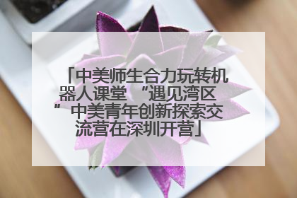 中美师生合力玩转机器人课堂 “遇见湾区”中美青年创新探索交流营在深圳开营