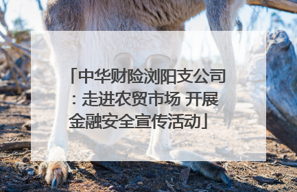 中华财险浏阳支公司：走进农贸市场 开展金融安全宣传活动