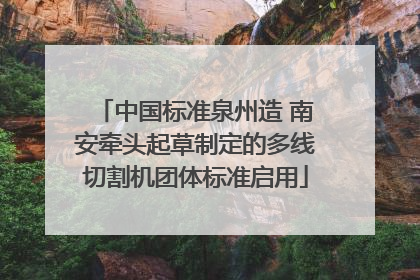 中国标准泉州造 南安牵头起草制定的多线切割机团体标准启用