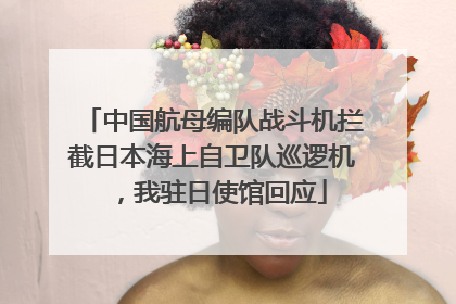中国航母编队战斗机拦截日本海上自卫队巡逻机，我驻日使馆回应