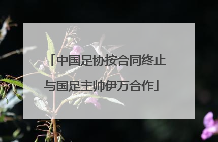 中国足协按合同终止与国足主帅伊万合作