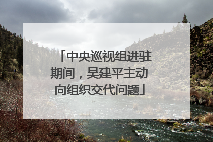 中央巡视组进驻期间，吴建平主动向组织交代问题
