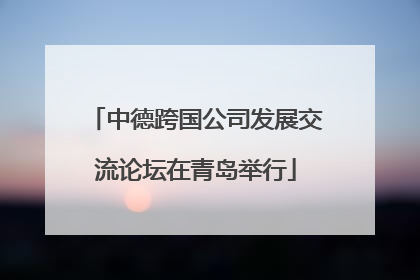 中德跨国公司发展交流论坛在青岛举行