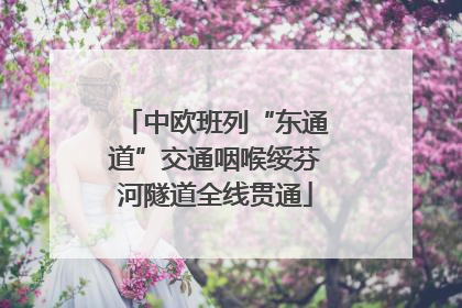 中欧班列“东通道”交通咽喉绥芬河隧道全线贯通