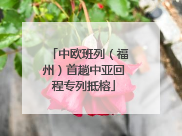 中欧班列（福州）首趟中亚回程专列抵榕
