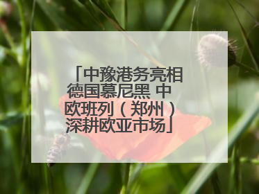 中豫港务亮相德国慕尼黑 中欧班列（郑州）深耕欧亚市场