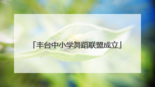 丰台中小学舞蹈联盟成立
