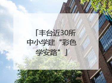 丰台近30所中小学建“彩色学安路”
