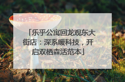 乐乎公寓回龙观东大街店：深系暖科技，开启双栖森活范本
