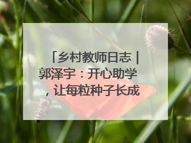 乡村教师日志｜郭泽宇：开心助学，让每粒种子长成最好模样