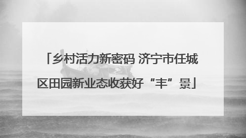 乡村活力新密码 济宁市任城区田园新业态收获好“丰”景