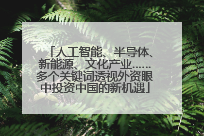 人工智能、半导体、新能源、文化产业……多个关键词透视外资眼中投资中国的新机遇