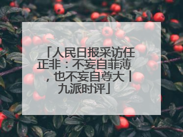 人民日报采访任正非：不妄自菲薄，也不妄自尊大丨九派时评