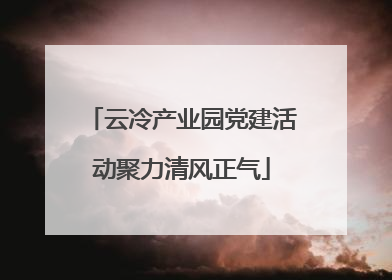 云冷产业园党建活动聚力清风正气