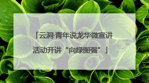 云洞·青年说龙华微宣讲活动开讲“向绿图强”