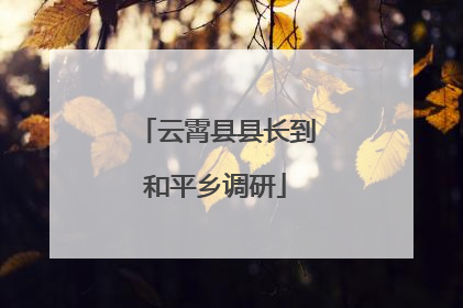 云霄县县长到和平乡调研