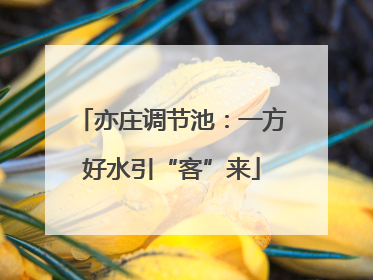亦庄调节池：一方好水引“客”来
