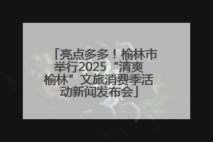 亮点多多！榆林市举行2025“清爽榆林”文旅消费季活动新闻发布会