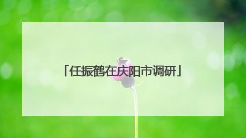 任振鹤在庆阳市调研