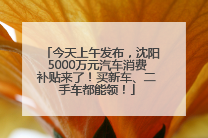 今天上午发布，沈阳5000万元汽车消费补贴来了！买新车、二手车都能领！