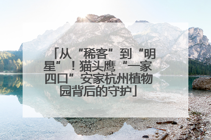 从“稀客”到“明星”！猫头鹰“一家四口”安家杭州植物园背后的守护