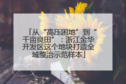 从“高压困地”到“千亩良田”：浙江金华开发区这个地块打造全域整治示范样本