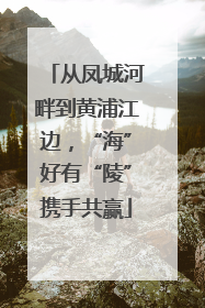 从凤城河畔到黄浦江边，“海”好有“陵”携手共赢