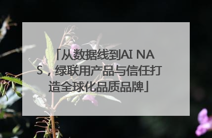 从数据线到AI NAS，绿联用产品与信任打造全球化品质品牌